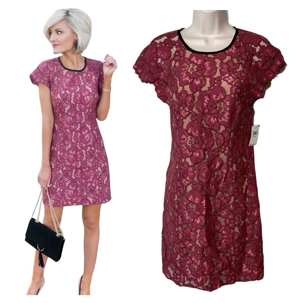 WAYF Lace Sheath Dress Size XS NWT